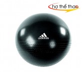 Bóng tập yoga Adidas 65cm ADBL 12245