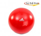 Bóng tập yoga Adidas 65cm ADBL 12246